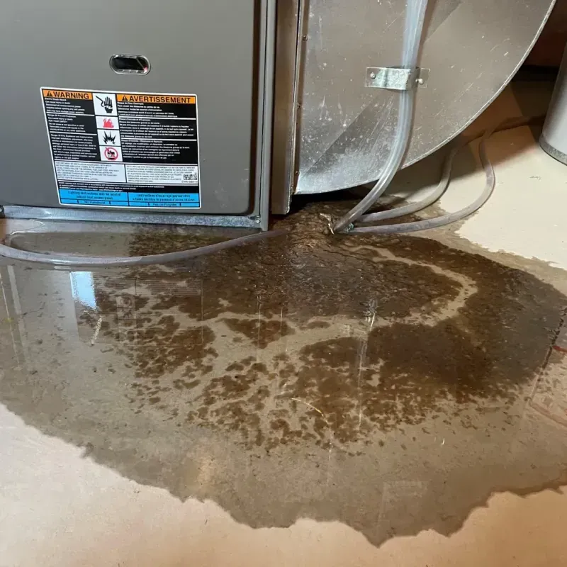 Appliance Leak Cleanup in Blair, NE